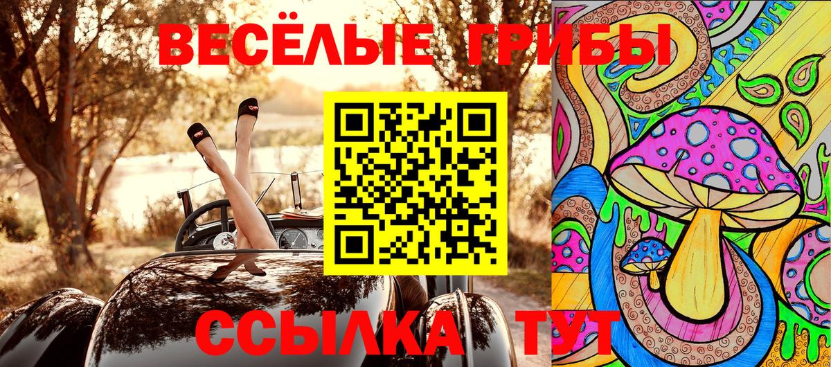 Галлюциногенные грибы GOLDEN TEACHER Изобильный