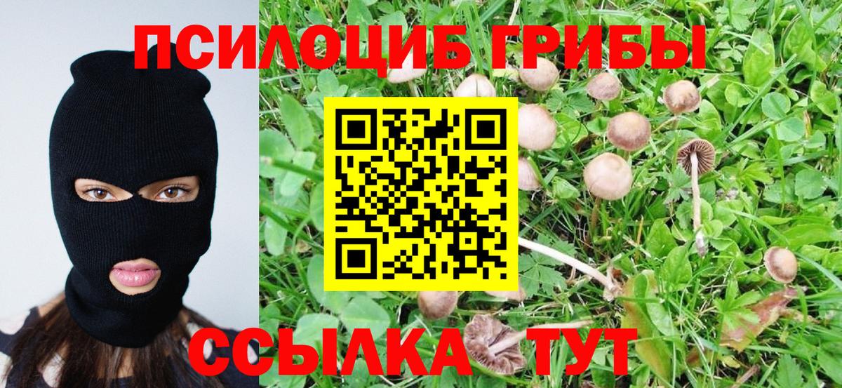 Изобильный  Псилоцибиновые грибы Cubensis  Вход с VPN 