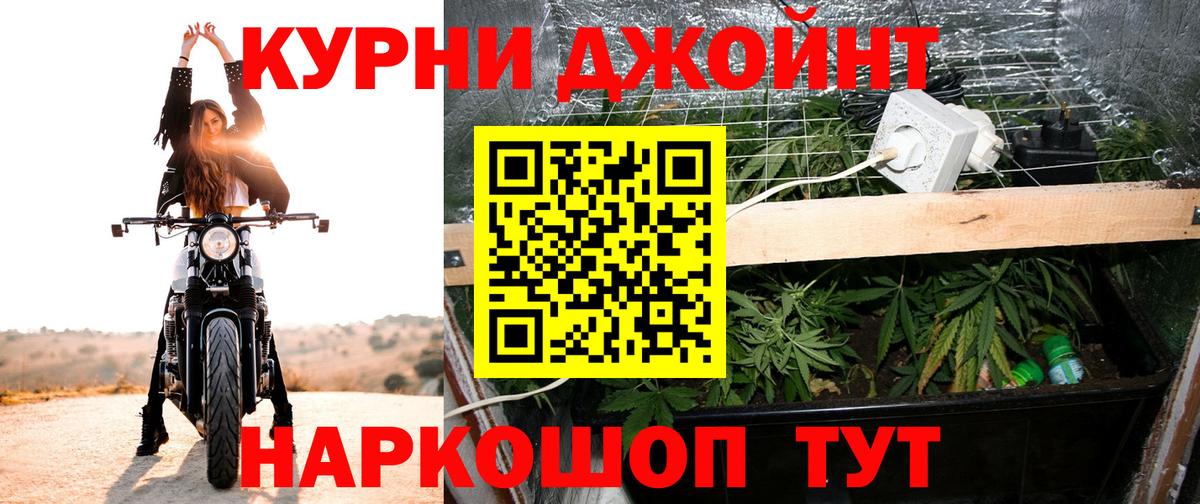 Марихуана план  Конопля тримм  Каннабис сатива  Изобильный  Вход с VPN 